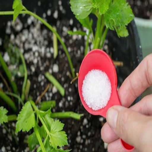 which epsom salt is good for plants