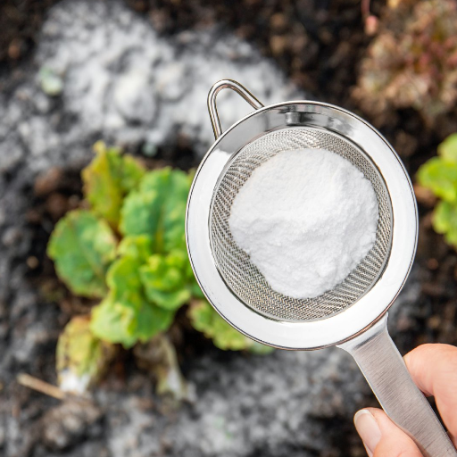 which epsom salt is good for plants