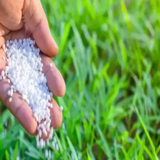 10-6-4 urea fertilizer for boxwoods