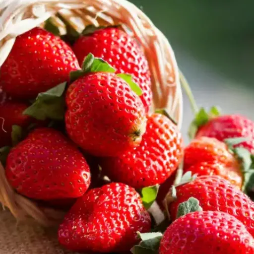 is epsom salt good for strawberry plants