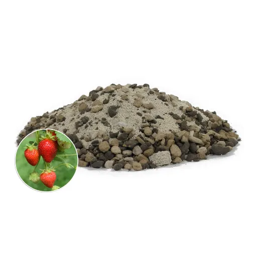 is epsom salt good for strawberry plants