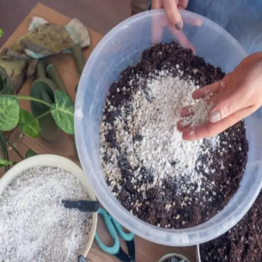 Top 10 Low-Nitrogen Fertilizers of 2025: Best Choices for Healthy Plants