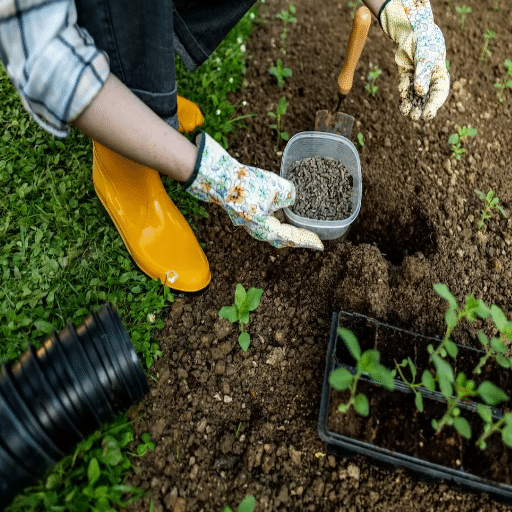 low nitrogen fertilizer