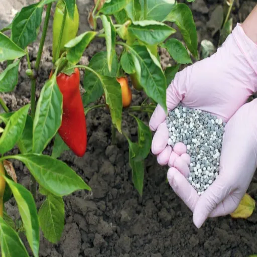 Organic Fertilizers 2025: Best Choices for Tomatoes and Peppers