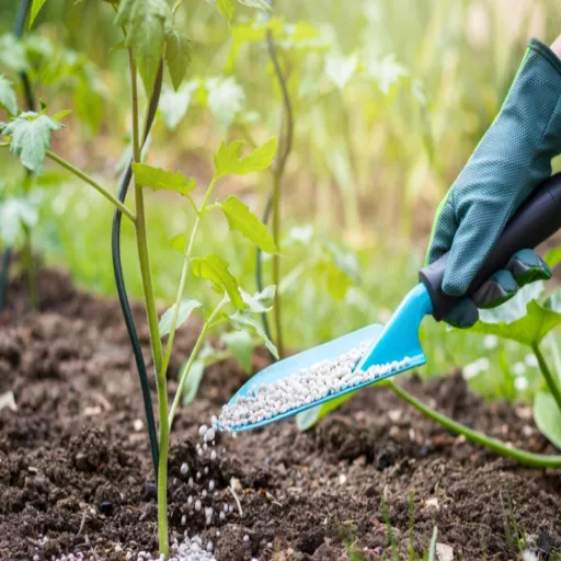 organic fertilizer for tomatoes and peppers