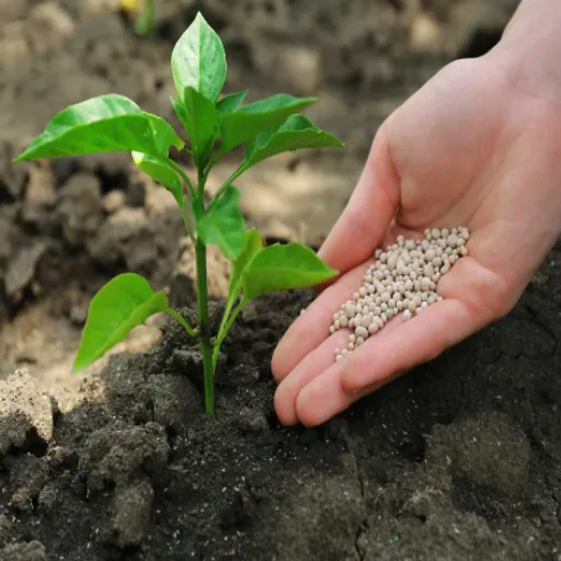 6-20-20 Fertilizer: A Comprehensive Guide for Lawn and Garden