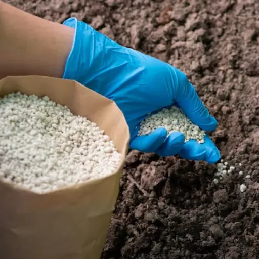 Ammonium Sulfate Fertilizer for Ammonia Volatilization