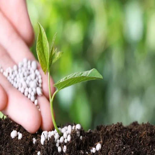 ammonium sulfate fertilizer for ammonia volatilization