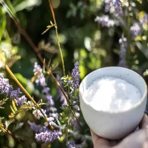epsom salt bath for plants