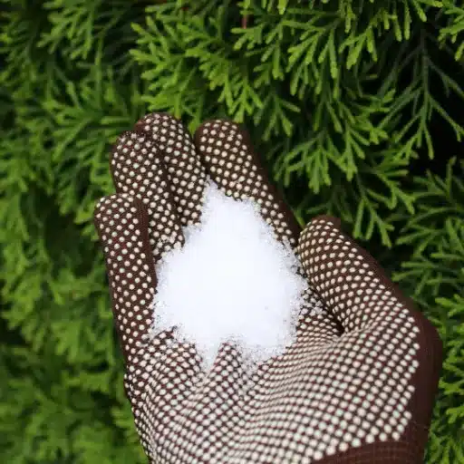 epsom salt bath for plants