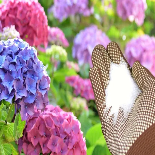 Using Epsom Salt for Flowers and Plants: A Guide to Healthier Plants in Your Garden