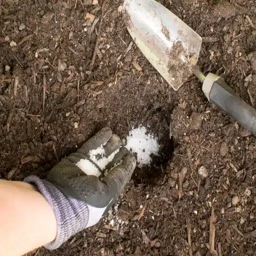 epsom salt for flowers and plants
