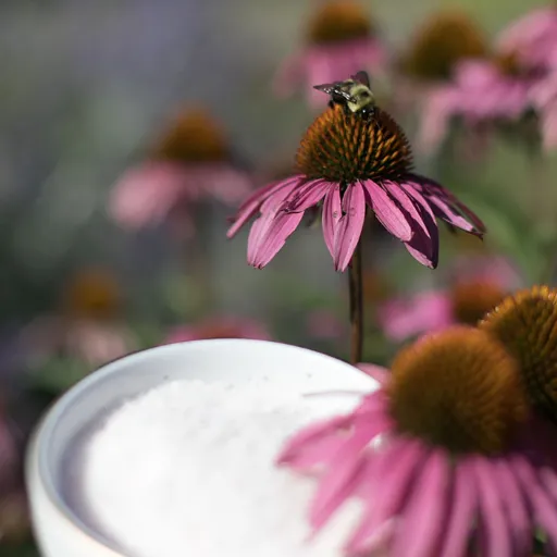 epsom salt for flowers and plants