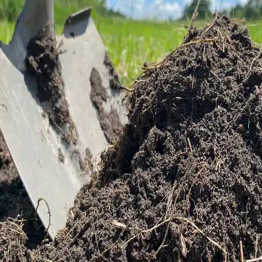 exploring the best organic fertilizers