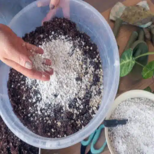 low nitrogen fertilizer