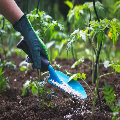 low nitrogen fertilizer