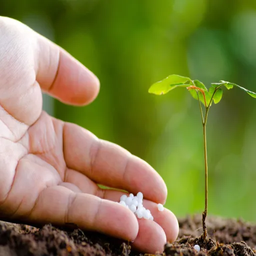 Urea Fertilizer Advantages and Disadvantages: A Comprehensive Guide