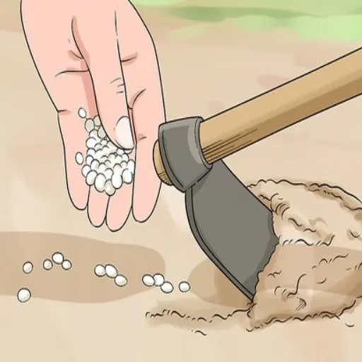 Use Urea Lawn Fertilizer Effectively: A Guide to Nitrogen Fertilization