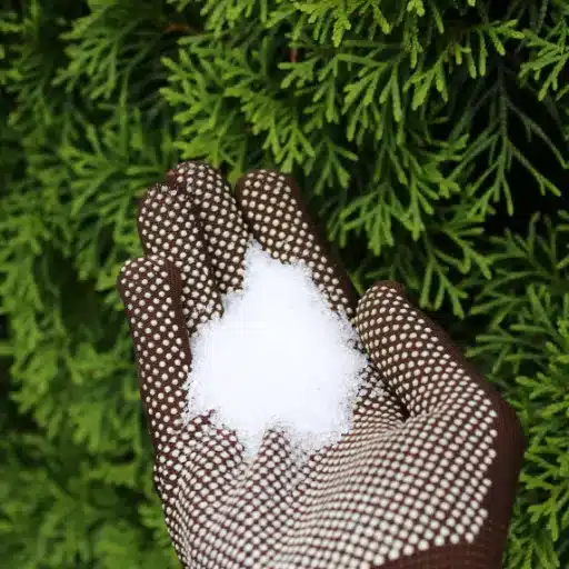 what plants do you use epsom salt on
