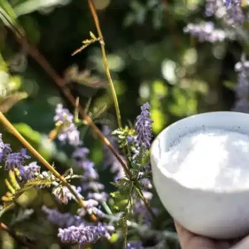 mixing epsom salt and water for plants