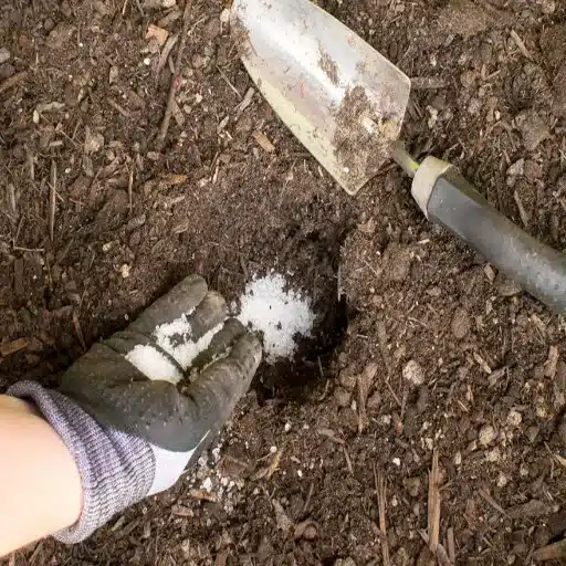 mixing epsom salt and water for plants