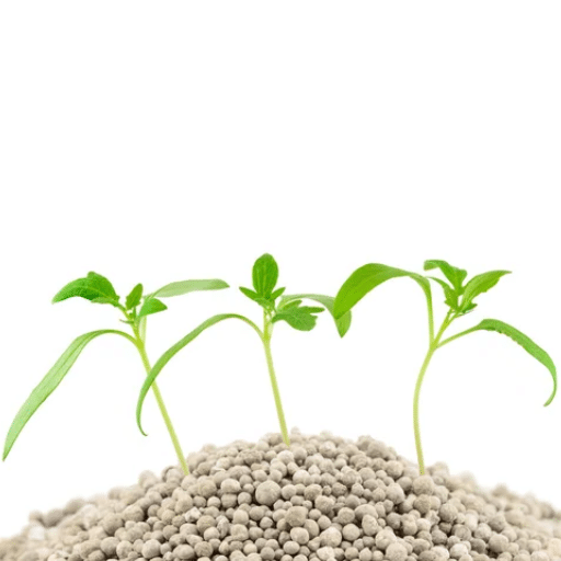What Makes an Organic Fertilizer "Best" for Fruit Trees?