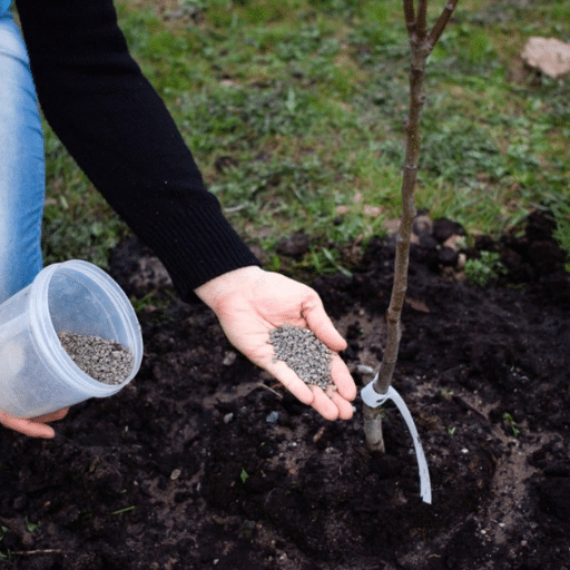 What Makes a Fruit Tree Fertilizer "Organic"?