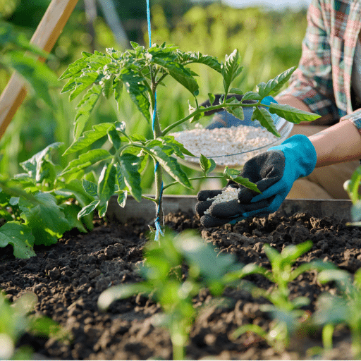 Step 5: Time the Application for Maximum Impact