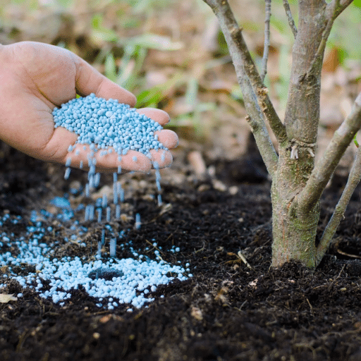 Fertilizing by Fruit Tree Type
