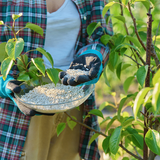 Building Long-Term Soil Health