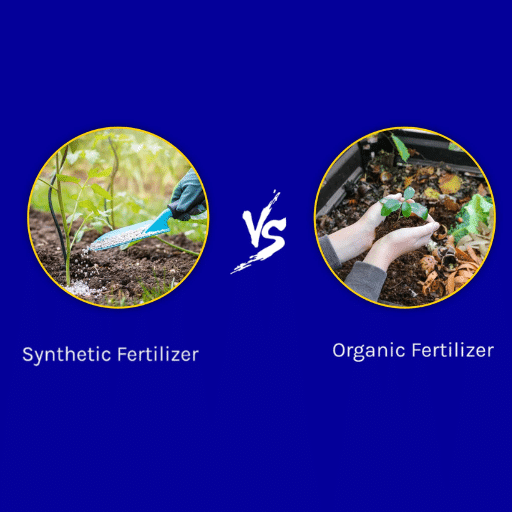 What Is Organic Fertilizer?
