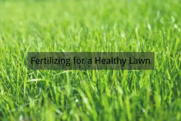 Fertilizing for a Healthy Lawn